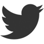 twitter_icon