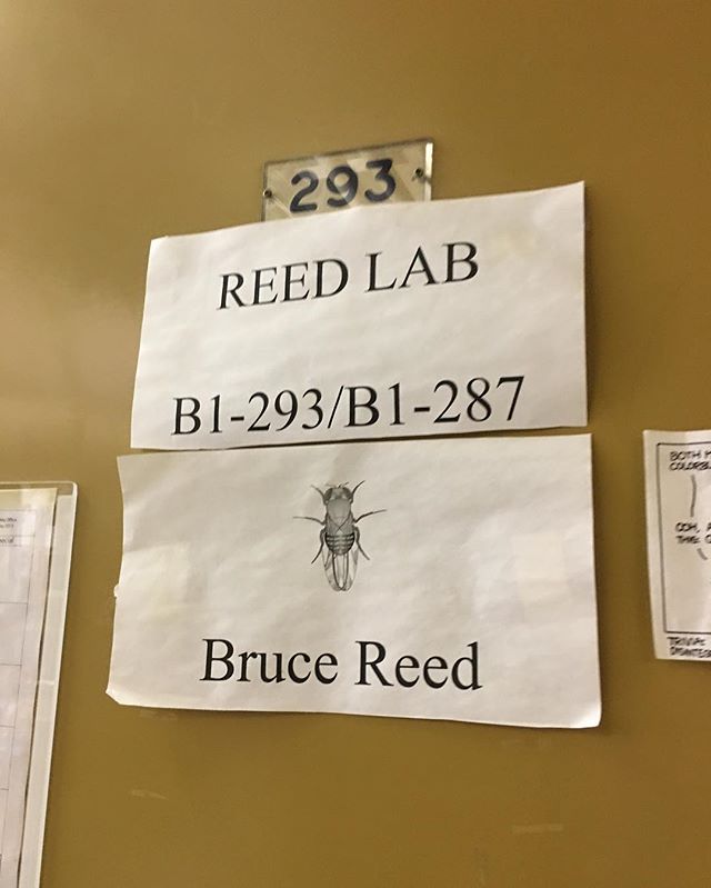 Reed lab @uofwaterloo
